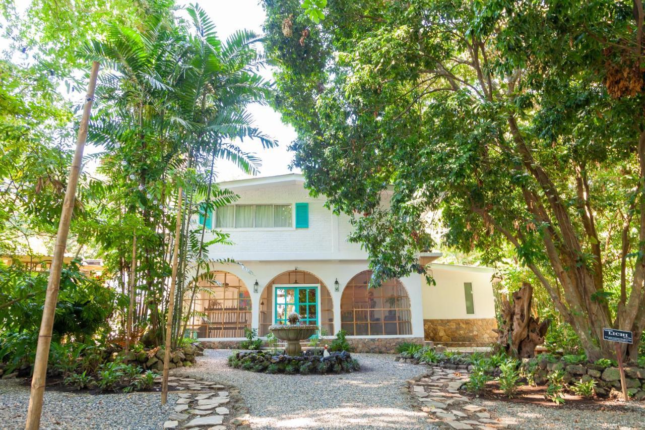 Angeli Gardens Boutique Hotel San Pedro Sula Kültér fotó