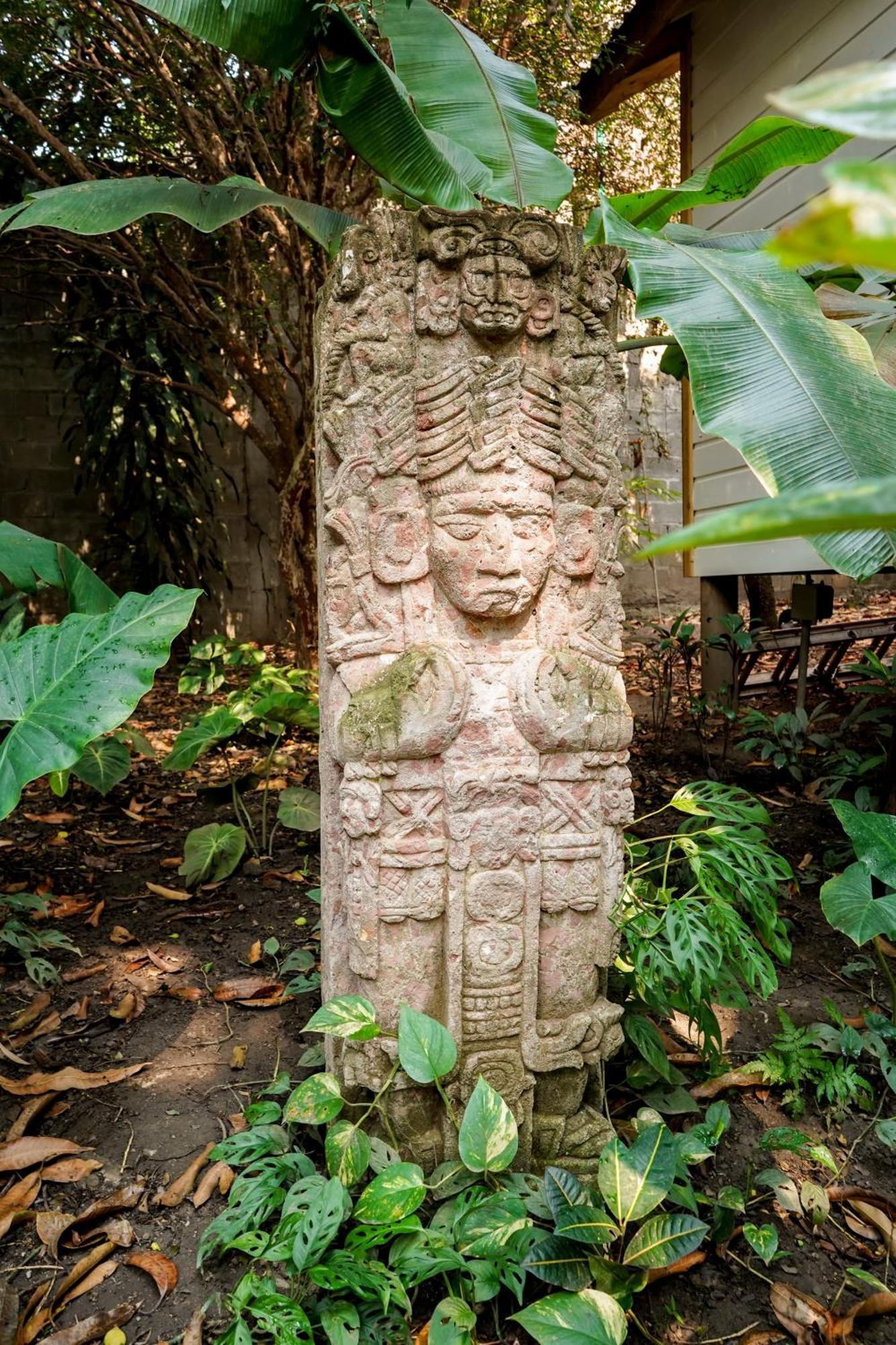 Angeli Gardens Boutique Hotel San Pedro Sula Kültér fotó